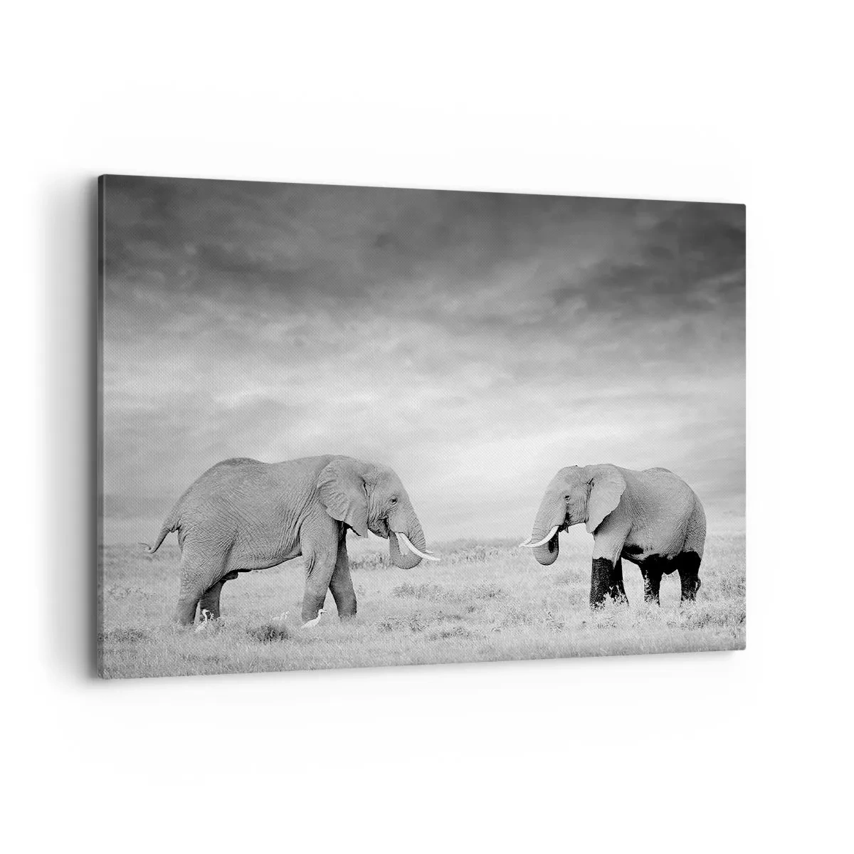 Quadro su tela - Stampe su Tela - Due elefanti sullo sfondo della savana africana - 100x70cm - Grigio è bello - Decorazione murale moderna per soggiorno e camera da letto ARTTOR