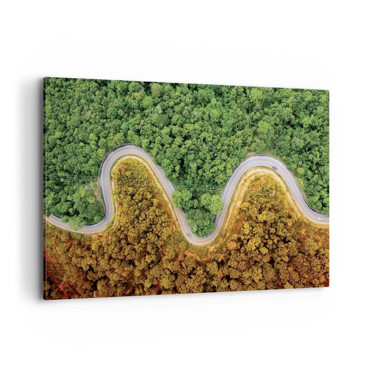 Quadro su tela - Stampe su Tela - Una strada tortuosa attraverso la foresta vista da una prospettiva a volo d'uccello - 100x70cm - Confine e separazione - Decorazione murale moderna per soggiorno e camera da letto ARTTOR
