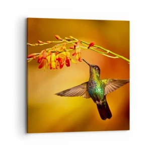 Quadro su tela - Stampe su Tela - Messaggero di luce secondo i Maya - 70x70 cm