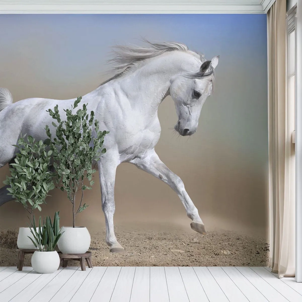 Fotomurali Premium Canvas - La più bella favola araba - Cavallo, Animali, Galoppo - 350x256 cm