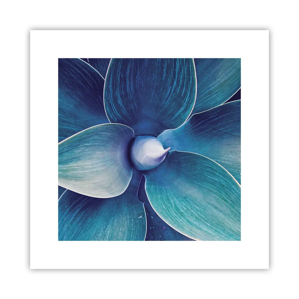 Poster - Imbluito dal sole - 30x30 cm