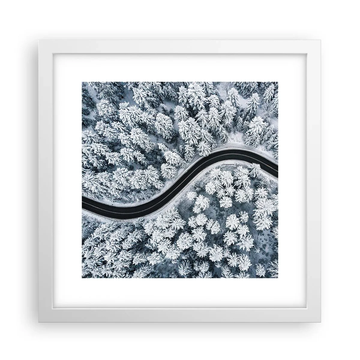 Poster in cornice bianca - Attraverso il bosco invernale - 30x30 cm