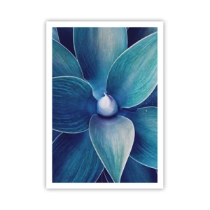 Poster - Imbluito dal sole - 70x100 cm