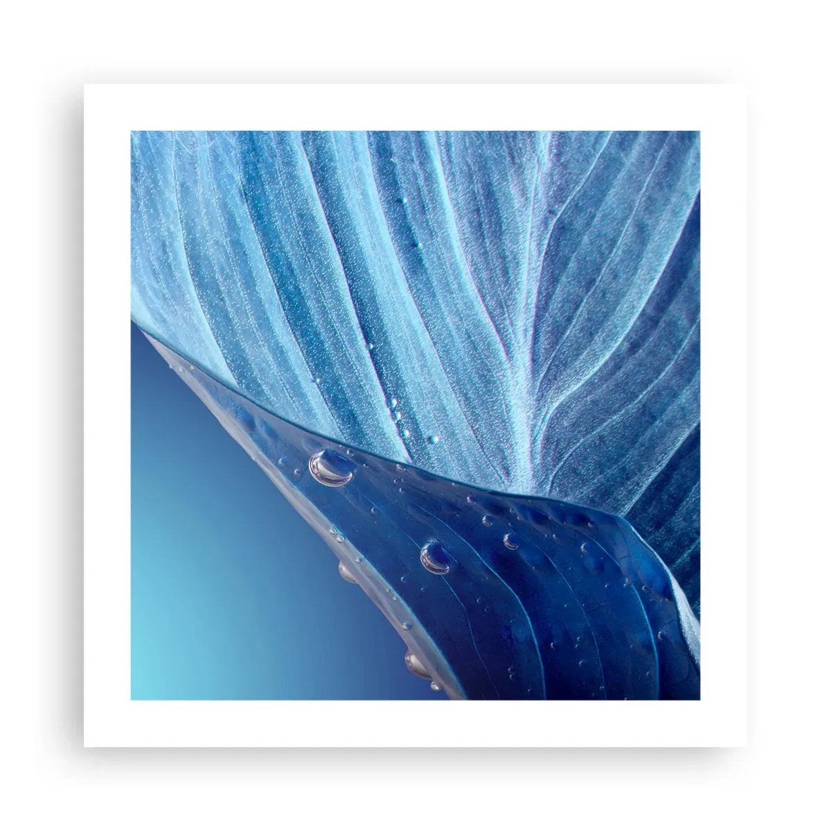 Poster - Gocce di blu nascoste - 50x50 cm