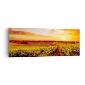 Quadro su tela - Stampe su Tela - Vigneto al tramonto con toni caldi del cielo - 140x50cm - Profumo di frutta con una nota di sole - Decorazione murale moderna per soggiorno e camera da letto ARTTOR