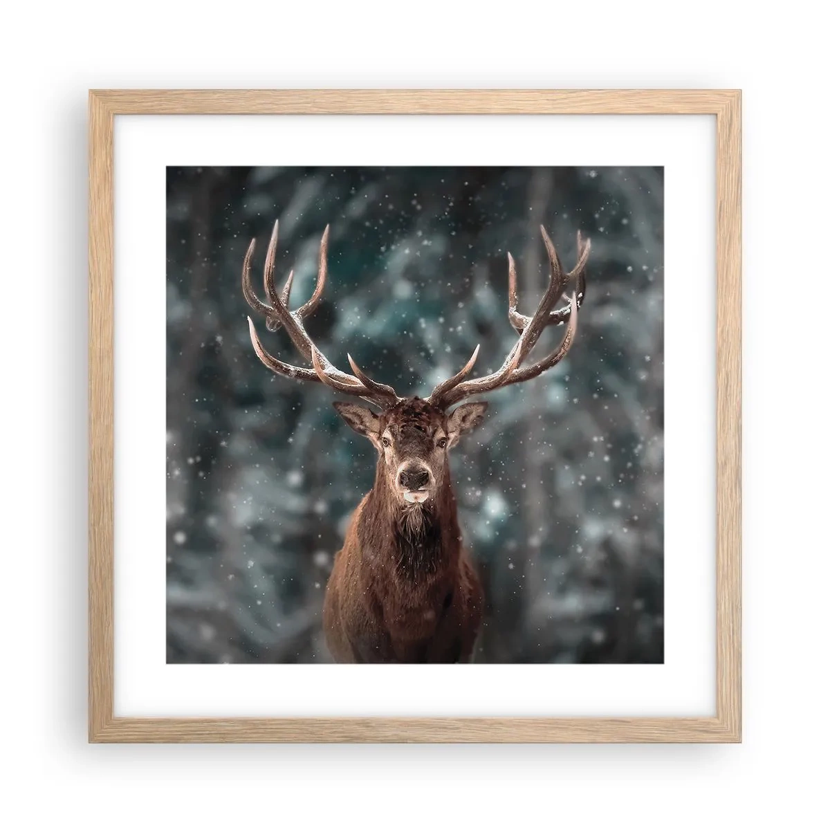 Poster in cornice rovere chiaro - Il re del bosco incoronato - 40x40 cm