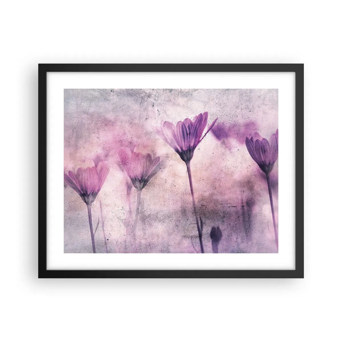 Poster in cornice nera - Il sogno dei fiori - 50x40 cm