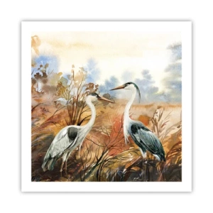 Poster - Dove in autunno? - 60x60 cm
