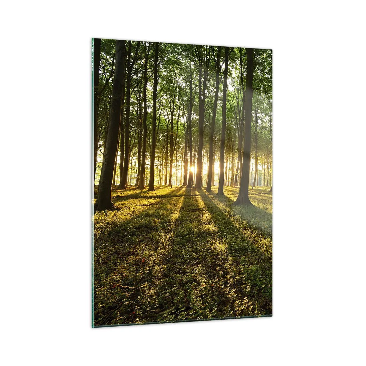 Quadro su vetro - Una radura della foresta illuminata dai raggi del sole nascente - 50x70cm - La foto di ogni primavera - Decorazione murale moderna per soggiorno e camera da letto ARTTOR