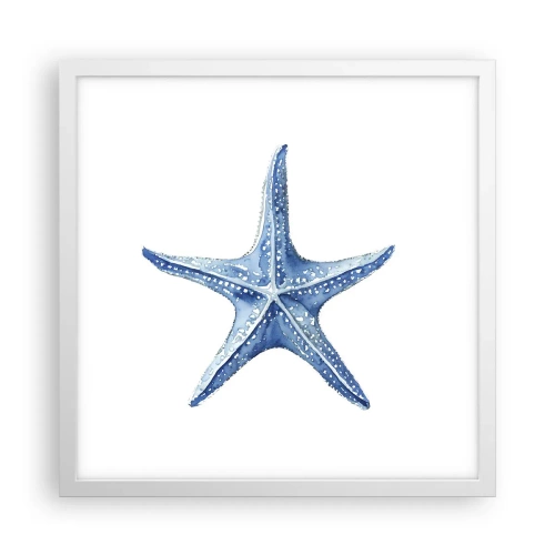 Poster in cornice bianca - Stella marina - 40x40 cm