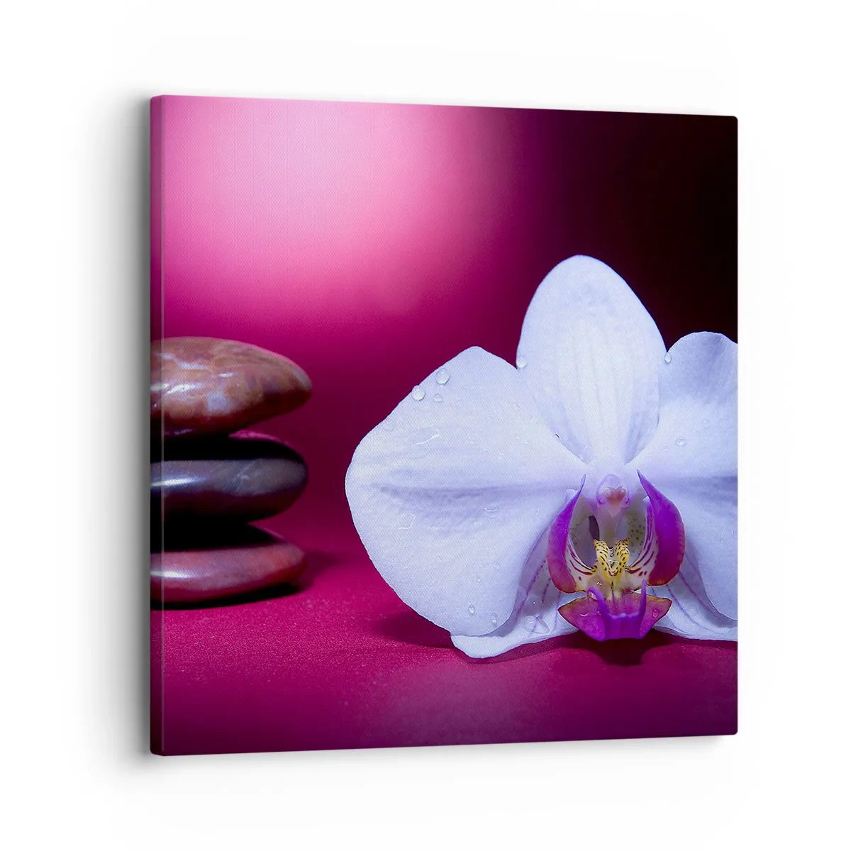 Quadro su tela - Stampe su Tela - Studio di freschezza in viola - 30x30 cm