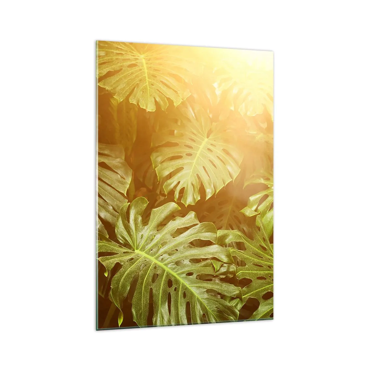 Quadro su vetro - Foglie di Monstera alla luce del sole su uno sfondo naturale - 70x100cm - Entrando nel verde... - Decorazione murale moderna per soggiorno e camera da letto ARTTOR