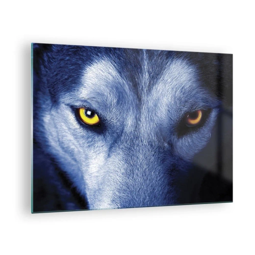 Quadro su vetro - Lo sguardo ipnotizzante di un lupo - 70x50cm - Sguardo ipnotico - Decorazione murale moderna per soggiorno e camera da letto ARTTOR