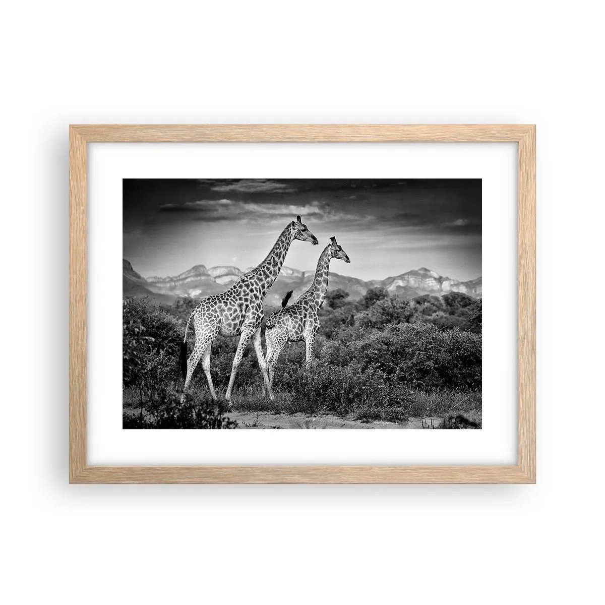Poster in cornice rovere chiaro - Alta classe in Africa - 40x30 cm