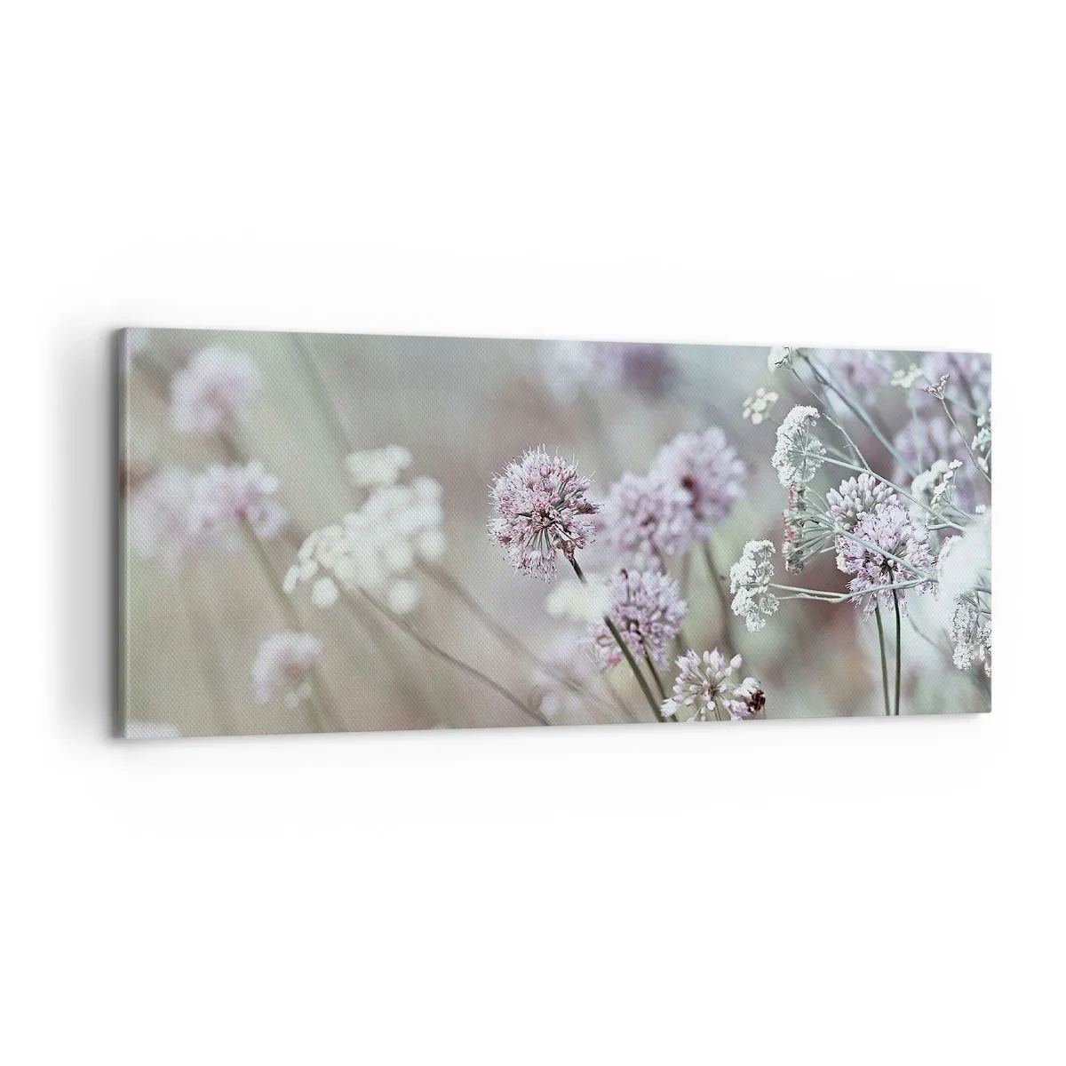 Quadro su tela - Stampe su Tela - Le dolci filigrane delle erbe - 100x40 cm