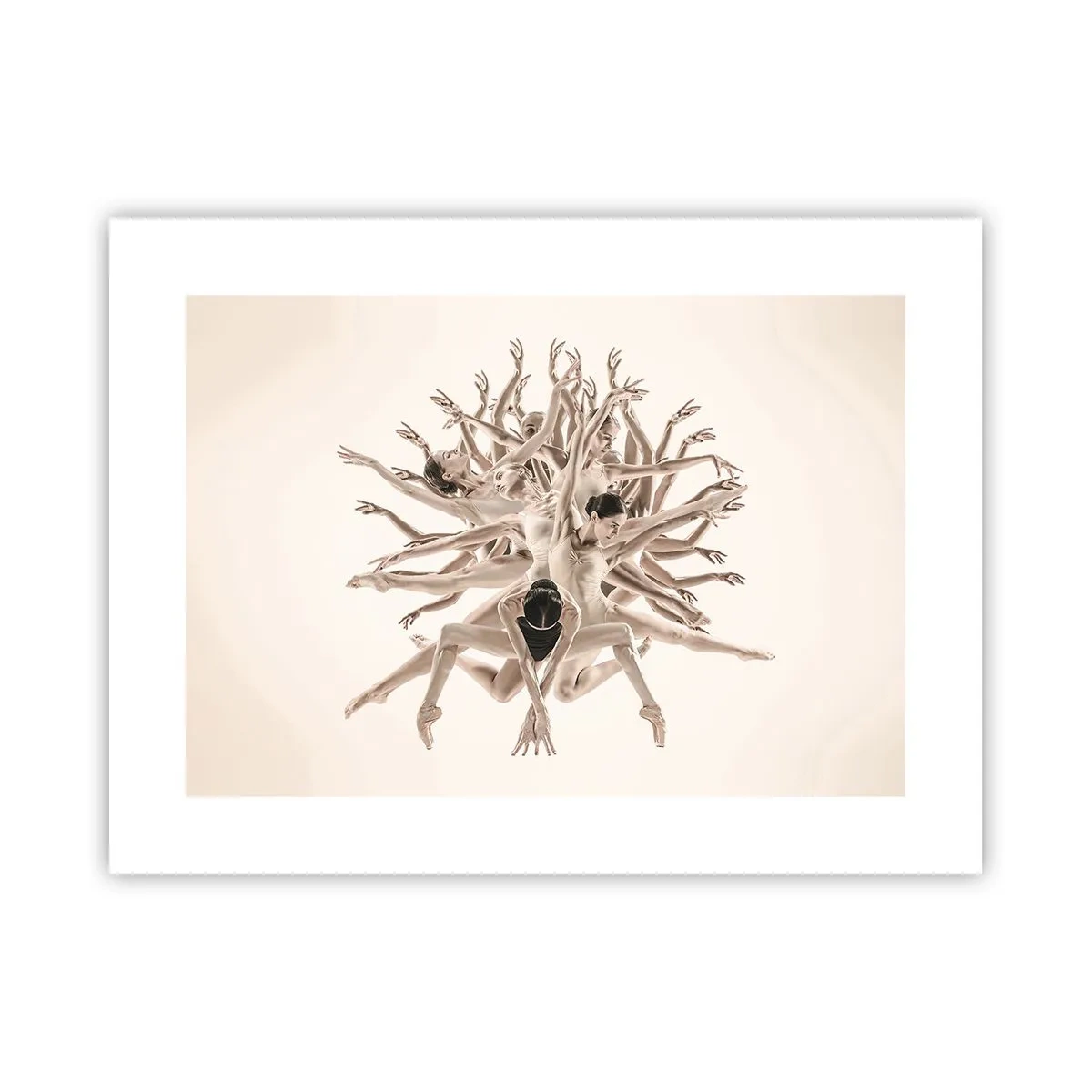 Poster - Fiorendo nella danza - 40x30 cm