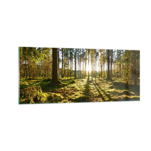 Quadro su vetro - …dopo sette foreste - 100x40 cm