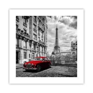 Poster - Predatore in città - 40x40 cm