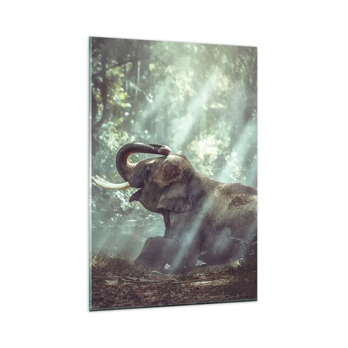 Quadro su vetro - Un ragazzo e un elefante in una foresta illuminata dalla luce del sole - 80x120cm - Ascoltalo… - Decorazione murale moderna per soggiorno e camera da letto ARTTOR