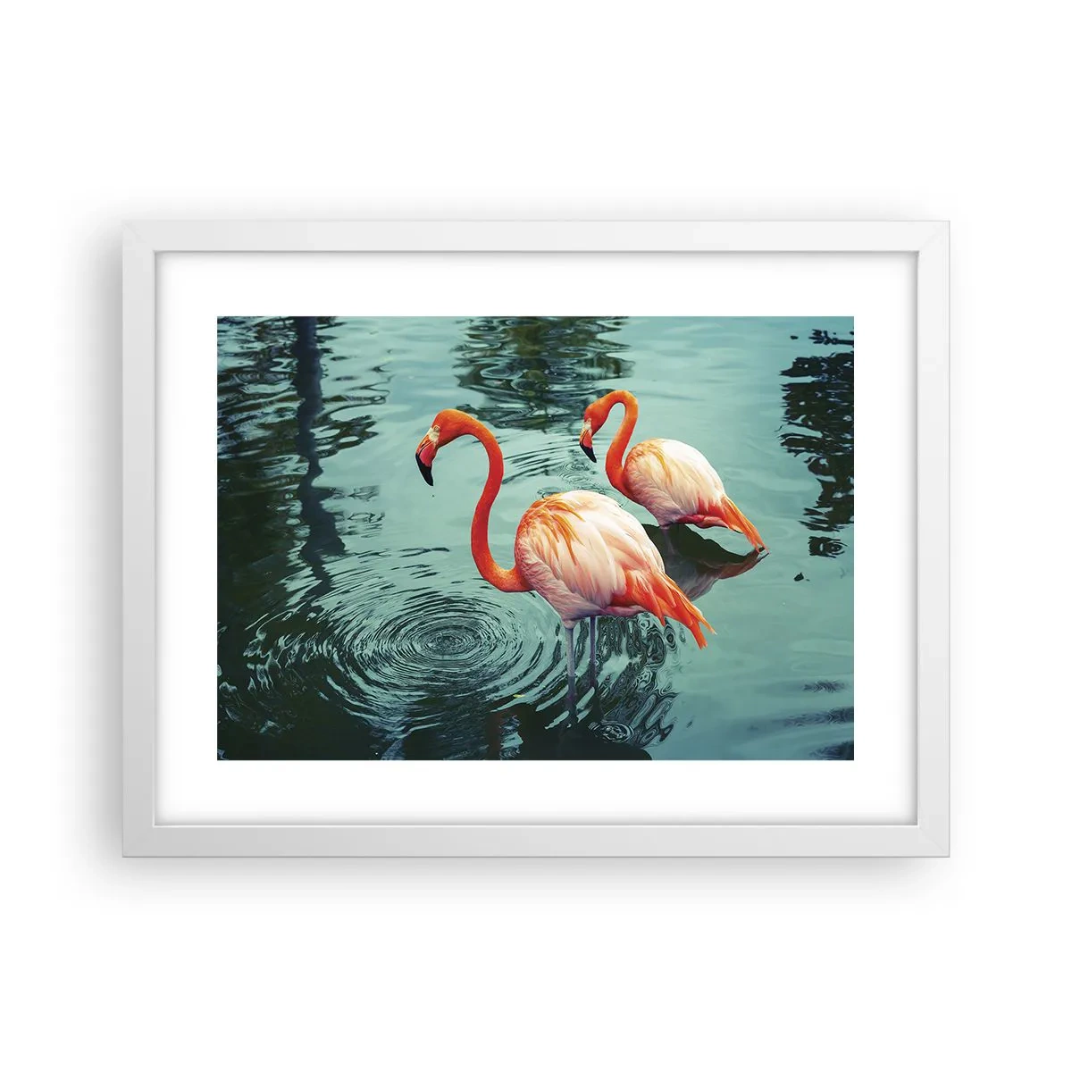 Poster in cornice bianca - Adesso siamo di moda - 40x30 cm
