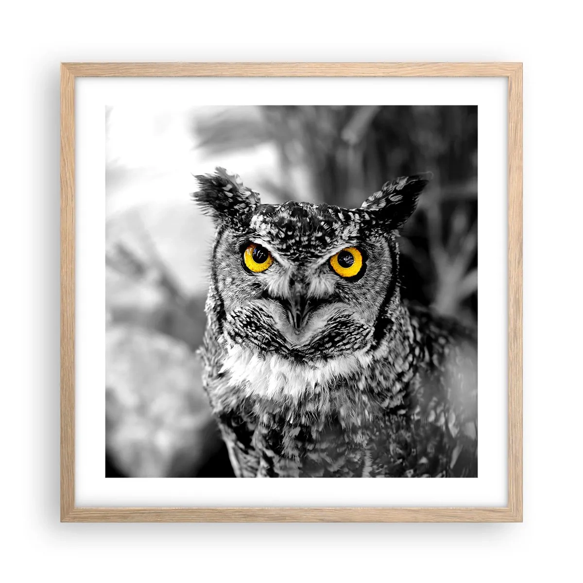 Poster in cornice rovere chiaro - Non si può nascondere niente - 50x50 cm