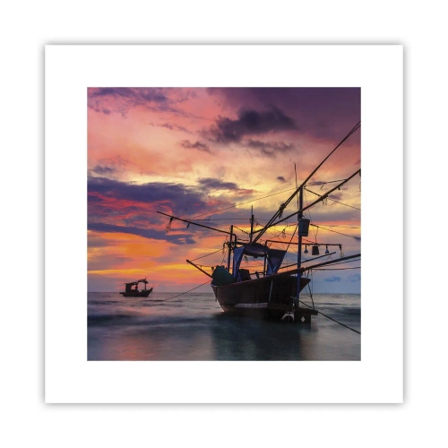 Poster - Sera esotica - 30x30 cm