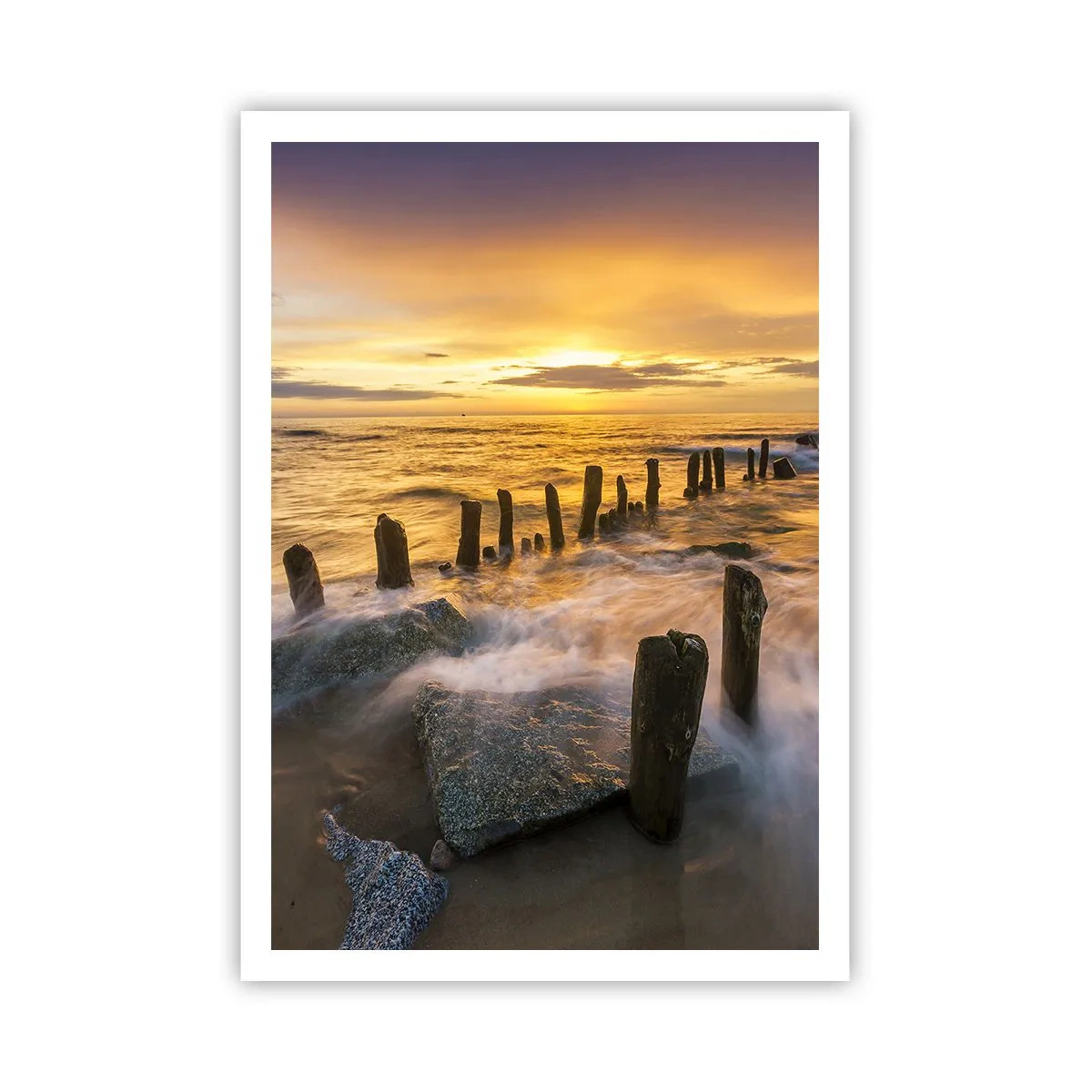 Poster - La bellezza selvatica del Baltico - 70x100 cm