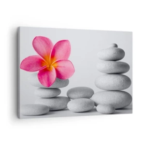 Quadro su tela - Stampe su Tela - Fiore rosa su pietre in stile zen - 70x50cm - Pietra su pietra, e su questa pietra... - Decorazione murale moderna per soggiorno e camera da letto ARTTOR