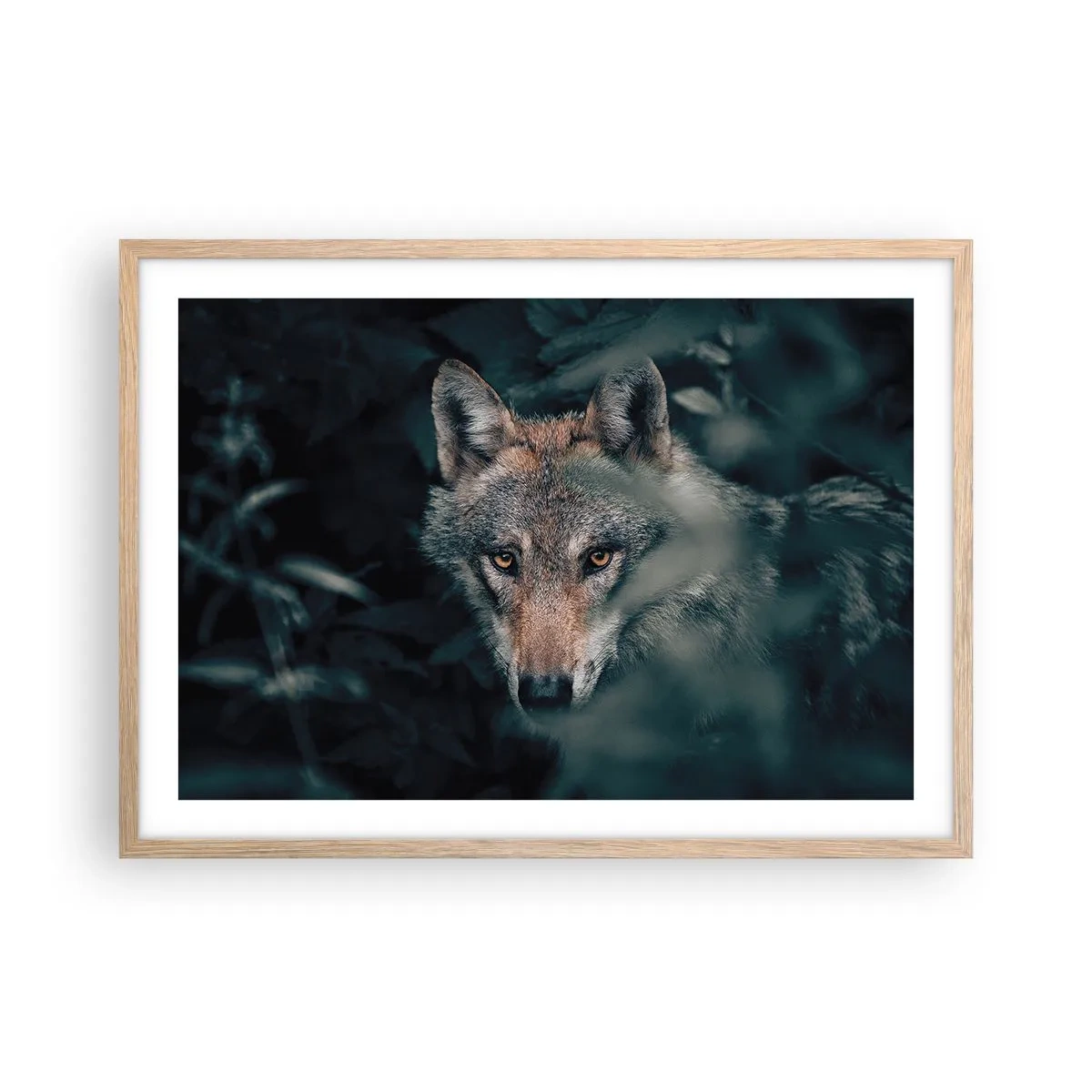 Poster in cornice rovere chiaro - Cacciatore - 70x50 cm