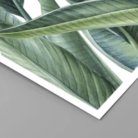 Senza cornice