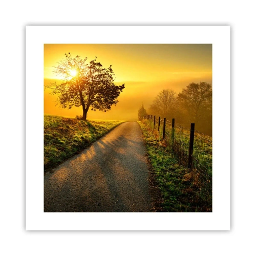 Poster - Pomeriggio di miele - 40x40 cm