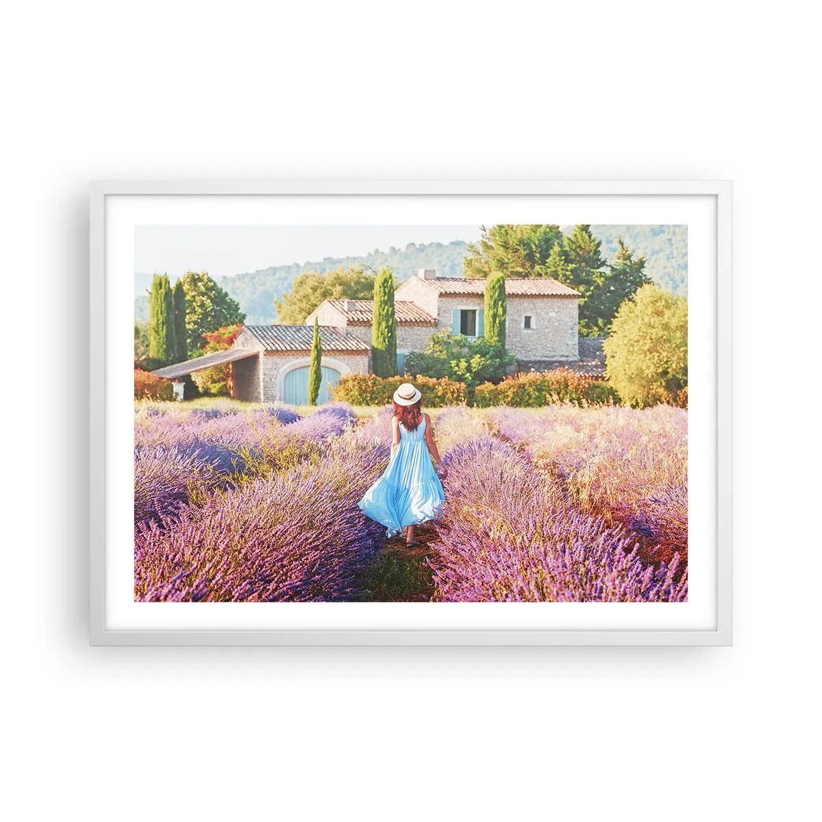 Poster in cornice bianca - La ragazza nella lavanda - 70x50 cm
