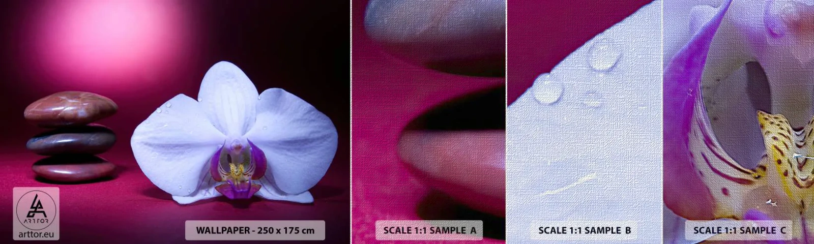 Campione di Fotomurale Premium Canvas - Studio di freschezza in viola - Fiori, Terme, Pietre - 100x30 cm