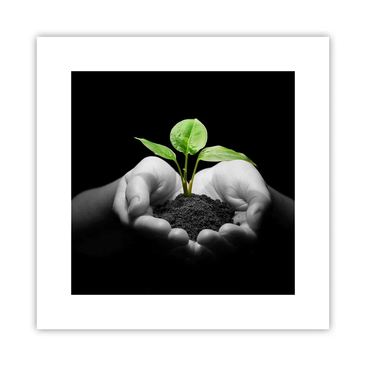 Poster - Amo la natura, la proteggo - 30x30 cm