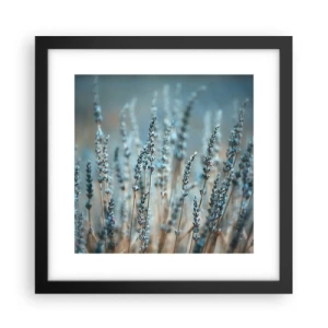 Poster in cornice nera - Campo profumato - 30x30 cm