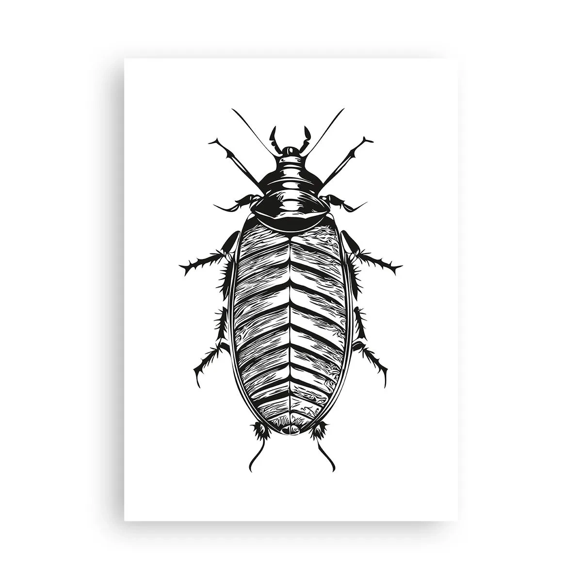 Poster - Illustrazione in bianco e nero di un insetto in stile retail - 50x70cm - Che esemplare! - Decorazione murale moderna per soggiorno e camera da letto ARTTOR
