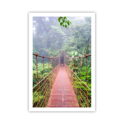 Poster - Sospeso sopra gli alberi - 61x91 cm