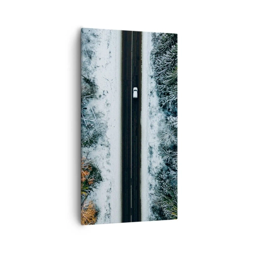 Quadro su tela - Stampe su Tela - Tagliando la foresta invernale - 55x100 cm