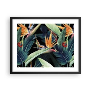 Poster in cornice nera - I fiori fiammeggianti dei tropici - 50x40 cm