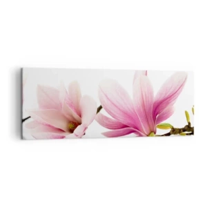 Quadro su tela - Stampe su Tela - Delicate magnolie rosa su sfondo bianco - 140x50cm - Delicati come un soffio di primavera - Decorazione murale moderna per soggiorno e camera da letto ARTTOR