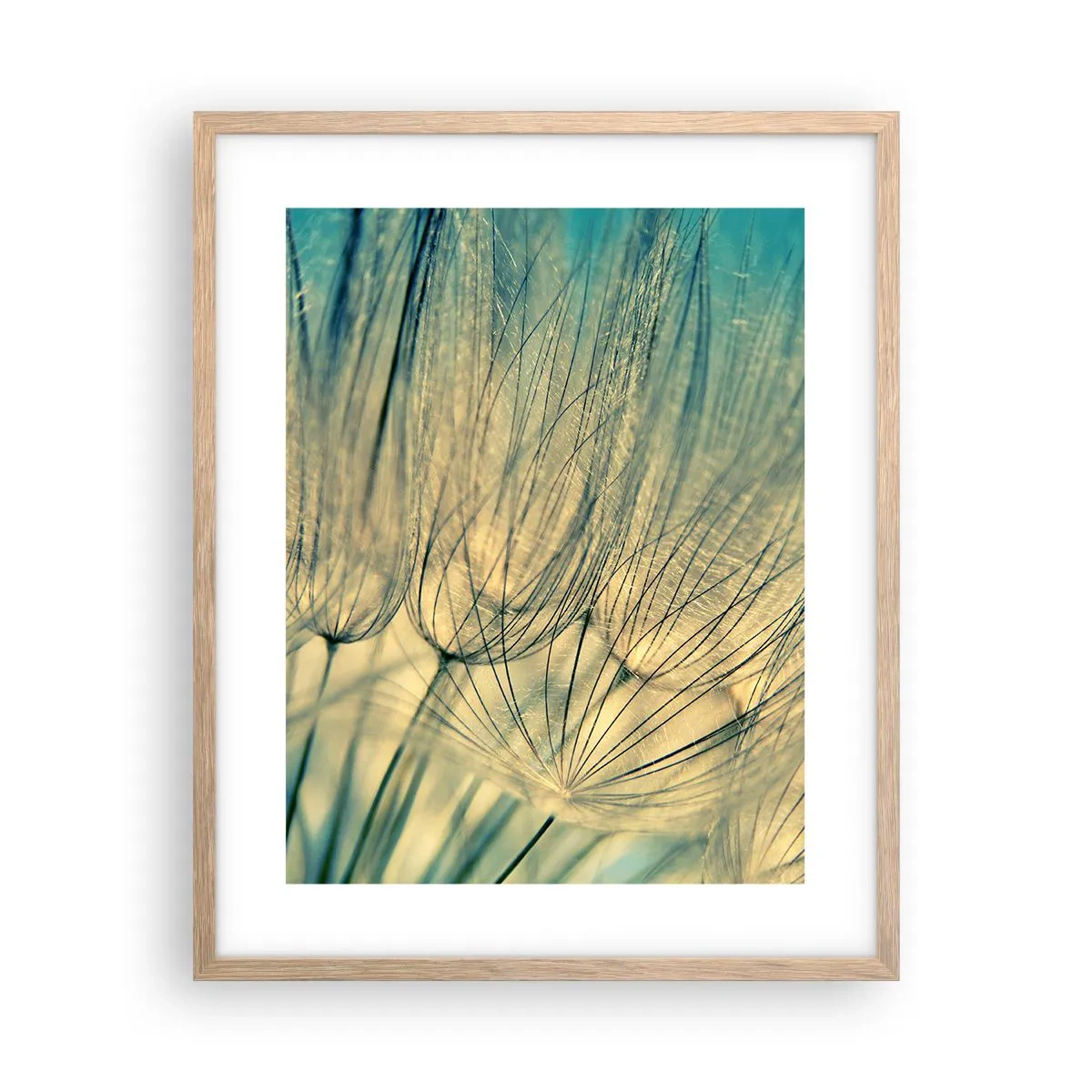 Poster in cornice rovere chiaro - Aspettando il vento - 40x50 cm