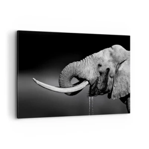 Quadro su tela - Stampe su Tela - Ritratto in bianco e nero di un elefante di profilo - 120x80cm - Si, adesso va bene - Decorazione murale moderna per soggiorno e camera da letto ARTTOR