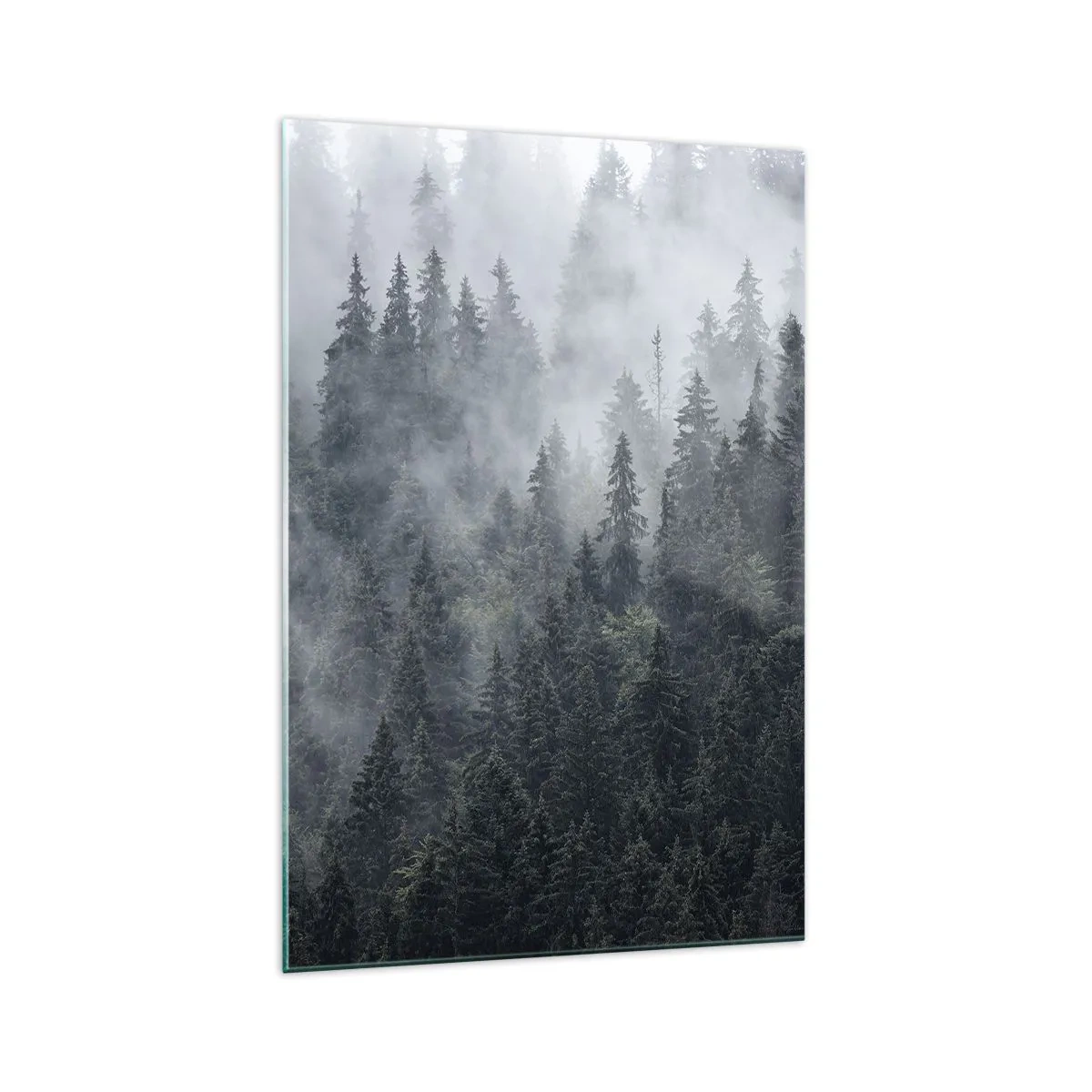 Quadro su vetro - Foresta di conifere nebbiosa nei toni del grigio e del verde - 70x100cm - Alba nel bosco - Decorazione murale moderna per soggiorno e camera da letto ARTTOR