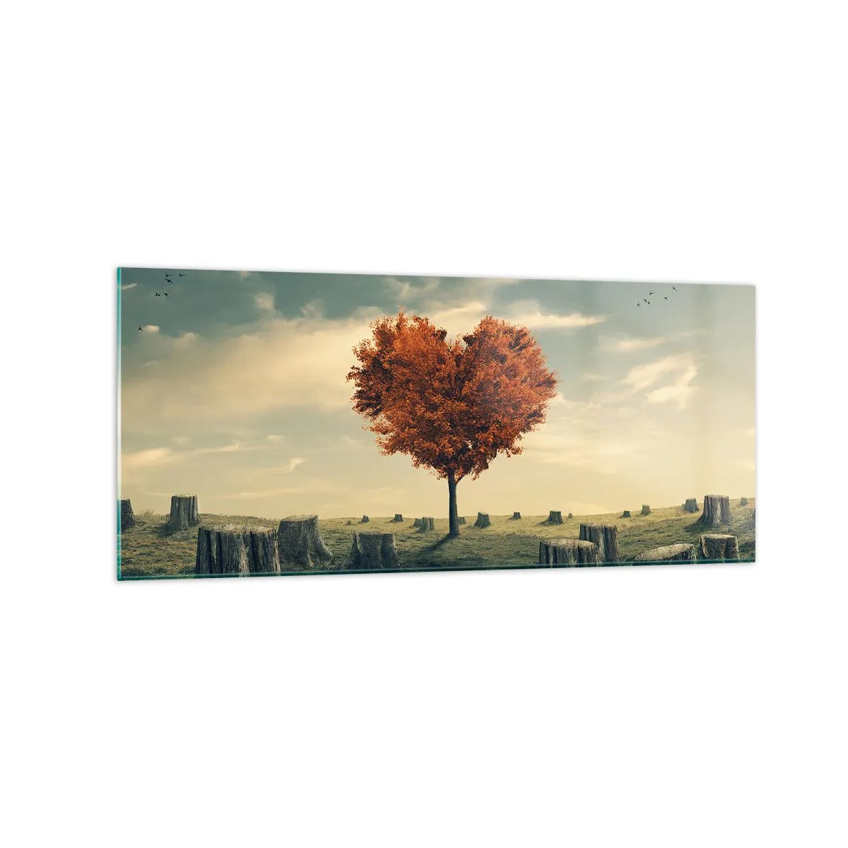Quadro su vetro - Un albero a forma di cuore in un campo di ceppi, simbolo di speranza - 120x50cm - C'è sempre speranza - Decorazione murale moderna per soggiorno e camera da letto ARTTOR