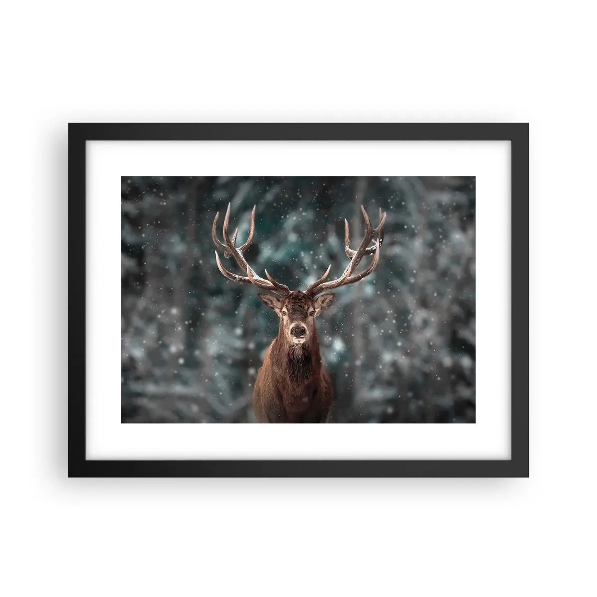 Poster in cornice nera - Il re del bosco incoronato - 40x30 cm