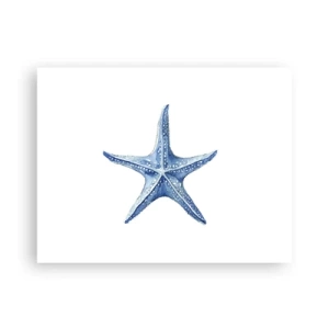 Poster - Stella marina - 40x30 cm