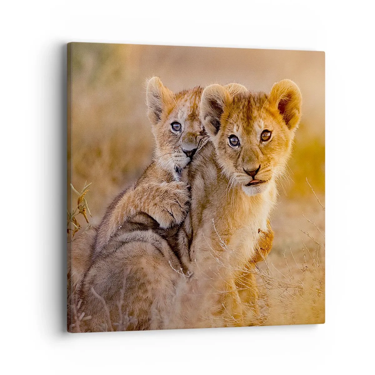 Quadro su tela - Stampe su Tela - Non disturbare! Giochiamo - 40x40 cm