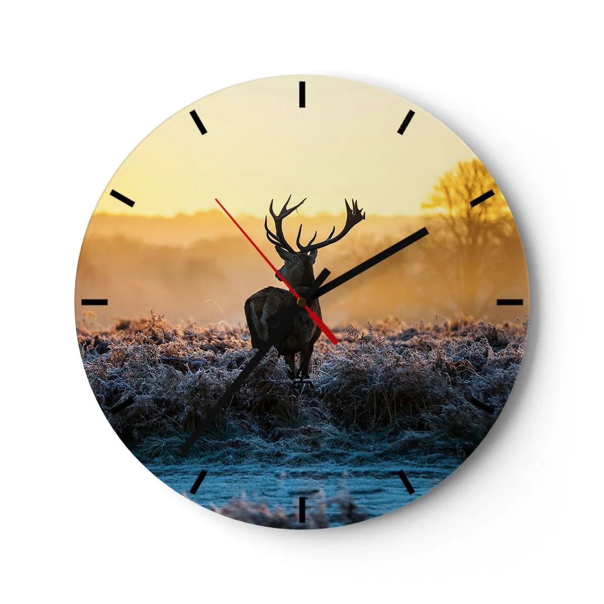 Orologio da parete - Orologio in Vetro - Un cervo in un campo in una mattina gelida con un cielo arancione - 30x30cm - Incoronato nelle sue terre - Decorazione murale moderna per soggiorno, cucina e camera da letto ARTTOR