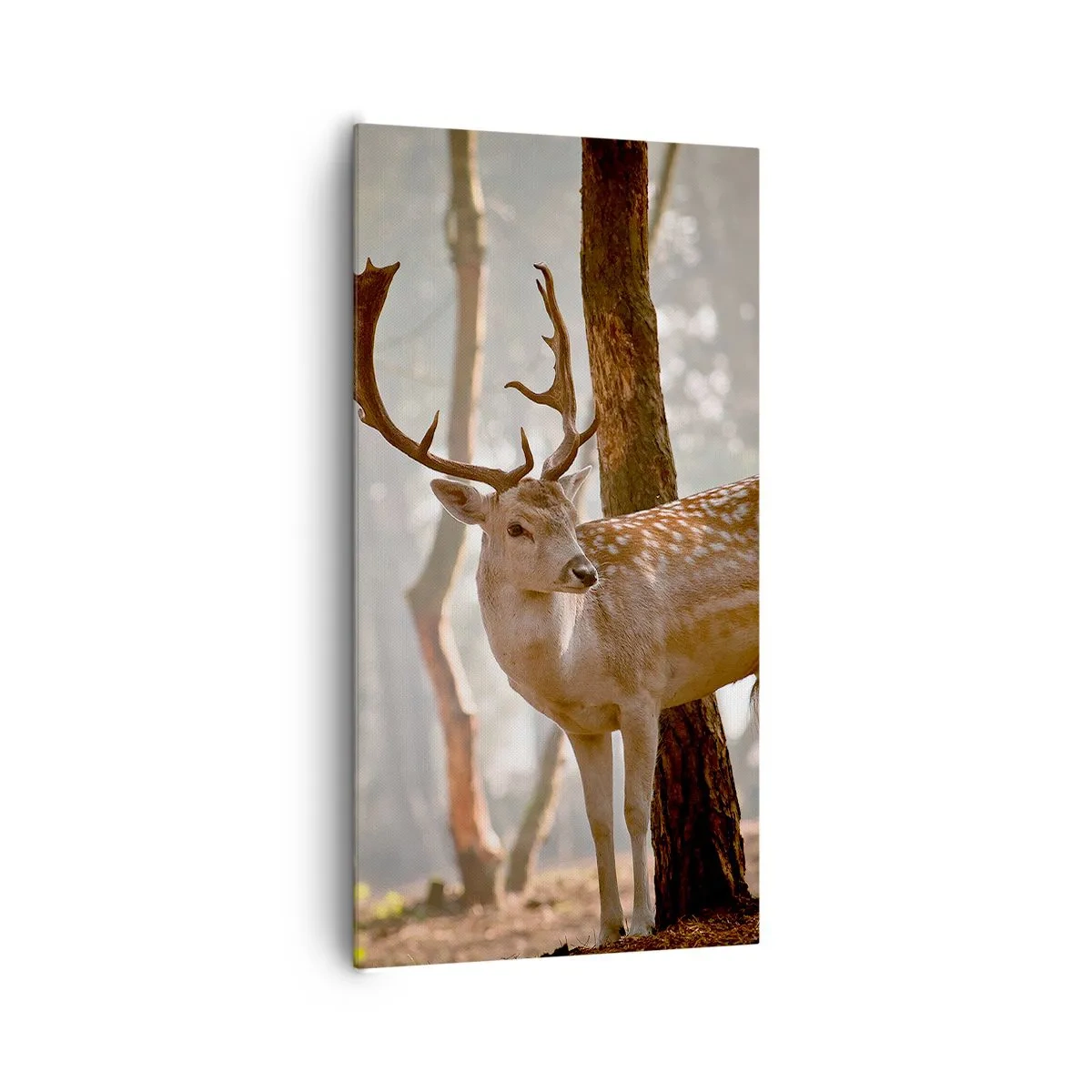 Quadro su tela - Stampe su Tela - La luce della giovinezza - 65x120 cm