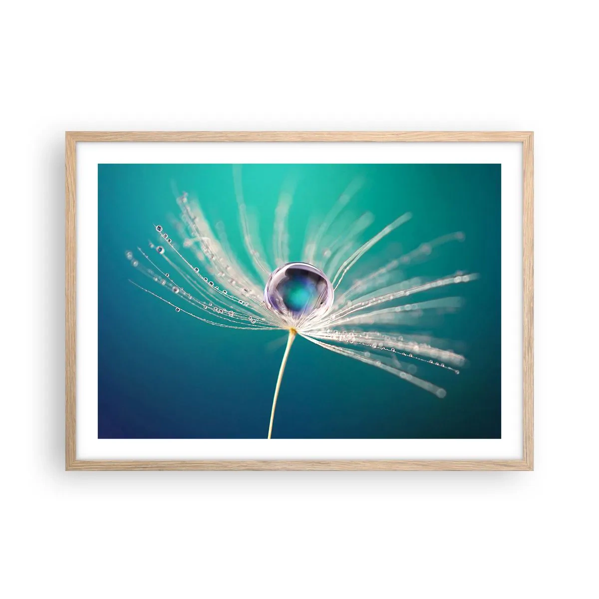 Poster in cornice rovere chiaro - Attimo mistico - 70x50 cm